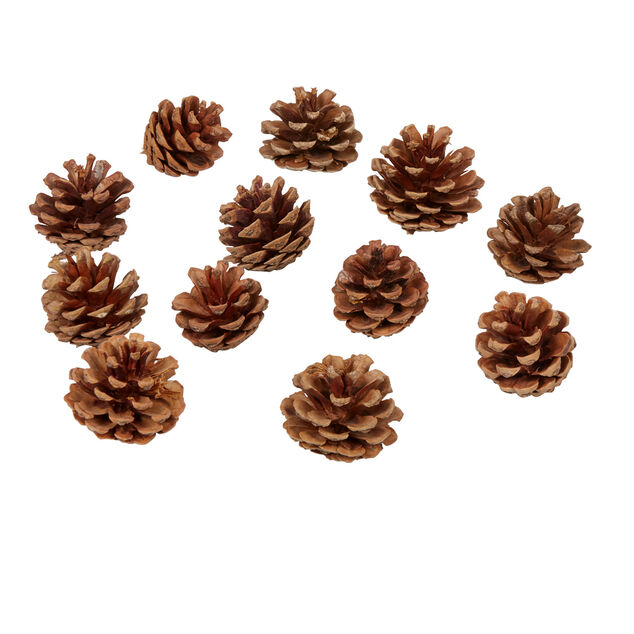 Pomme de pin naturel d&eacute;coration