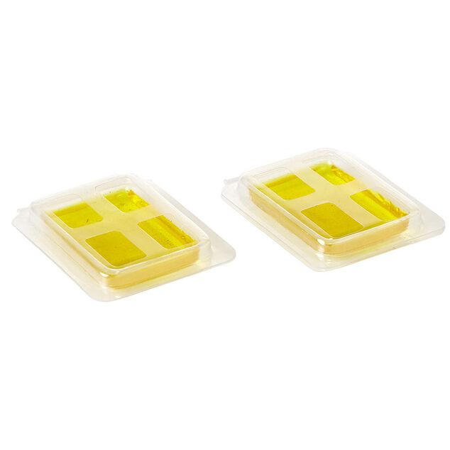 D&eacute;sodorisant poubelle parfum citron x2