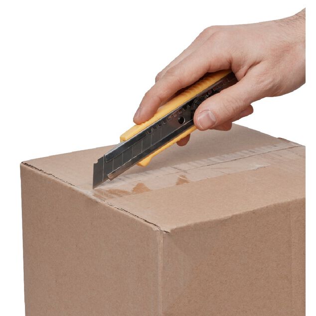 Cutter x 2 et 6 lames