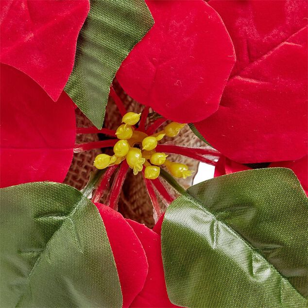 Poinsettia lumineux H23cm