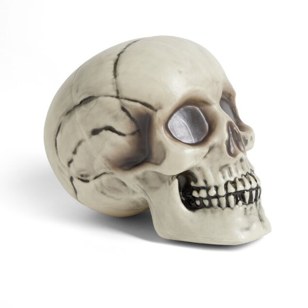 Cr&acirc;ne d&eacute;coration Halloween 19x15xH16cm