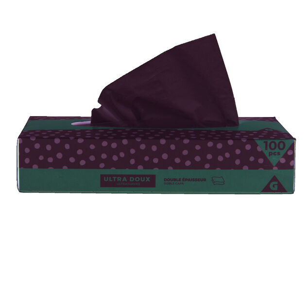 Boîte de 100 mouchoirs double épaisseur