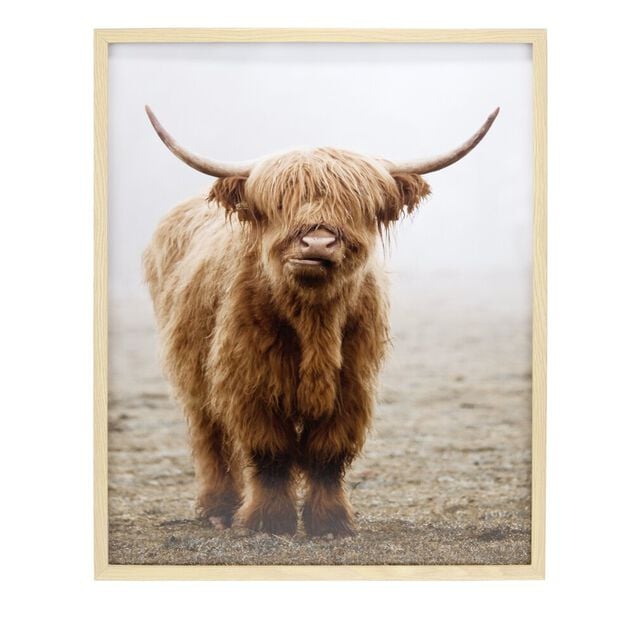 Cadre bois image vache Highland marron 40x50cm