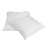 Oreiller carr&eacute; x2 anti-acariens blanc 65x65x&Eacute;p15cm