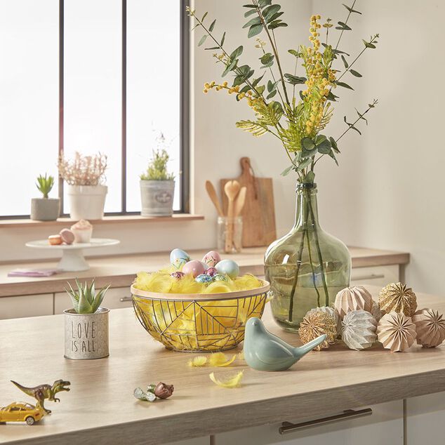 Plante Aloe Vera en pot