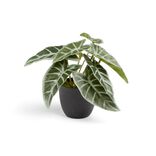 Plante artificielle verte H16cm