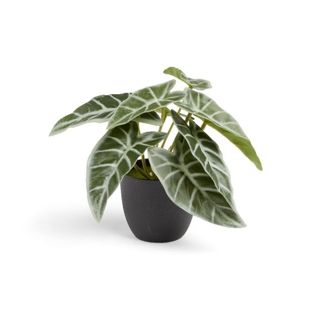 Plante artificielle verte H16cm