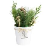D&eacute;coration branche de pin dans pot blanc &Oslash;8xH10cm