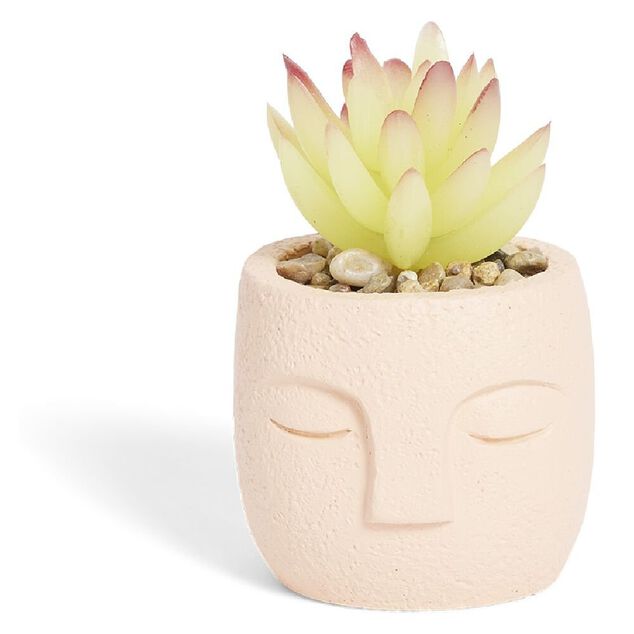 Plante artificielle pot ciment forme visage &Oslash;6,5xH9cm (plusieurs mod&egrave;les)