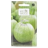 Semence courgette ronde de nice