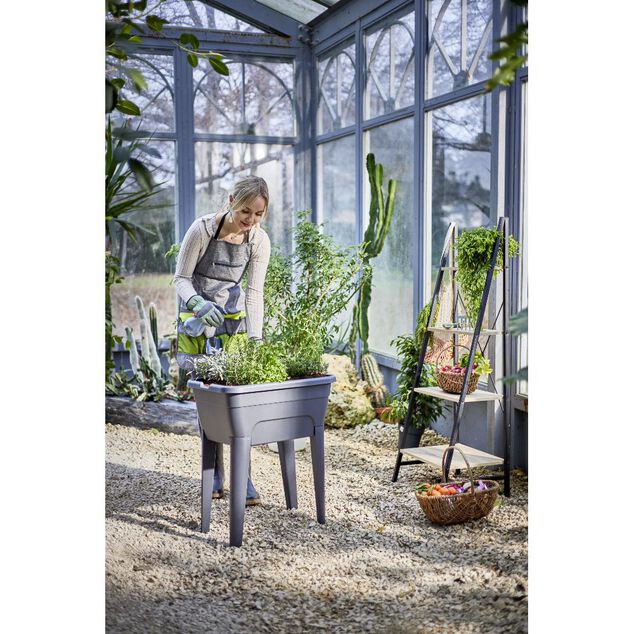 Potager sur pied effet serre Gary plastique gris 59x39xH86,5cm
