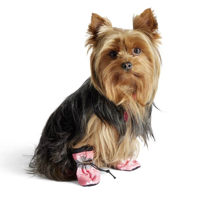 Chaussures pour animaux x4 &Oslash;3,5x4,5cm (3 mod&egrave;les)