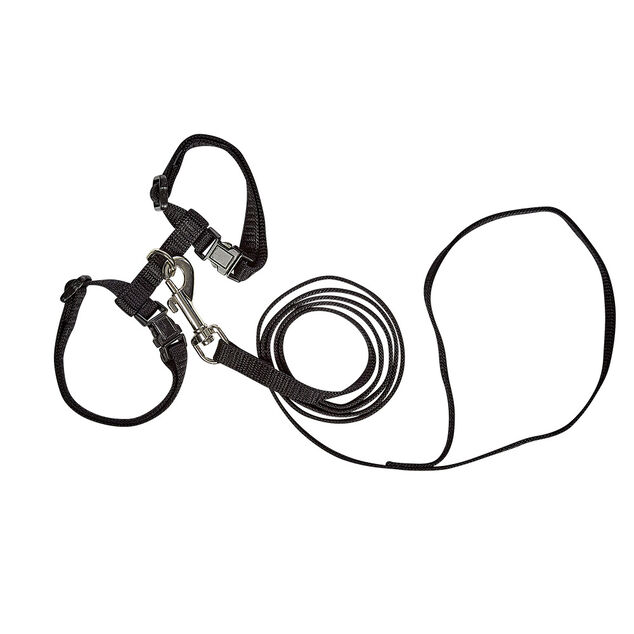 Harnais avec laisse pour chat