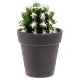 Cactus boule piquante artificiel vert et blanc &Oslash;7,5xH15cm
