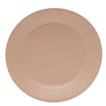 Lot de 10 assiettes en carton &Oslash;23cm rose
