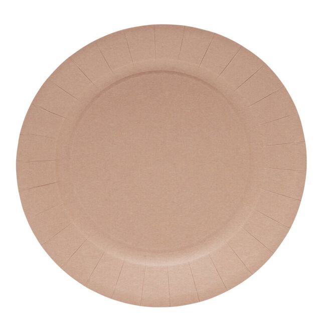 Lot de 10 assiettes en carton &Oslash;23cm rose
