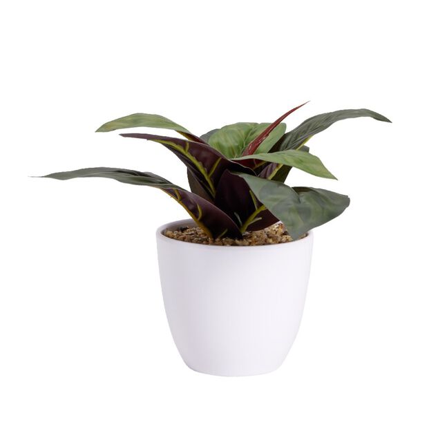Plante verte artificielle pot blanc H20cm - 2mod&egrave;les