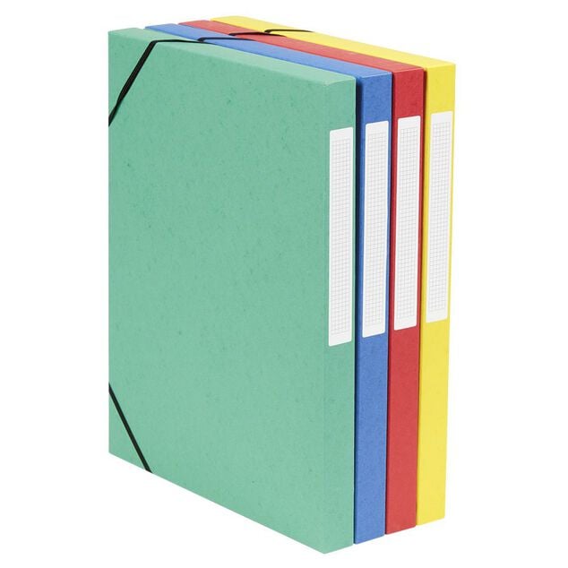 Bo&icirc;te de classement cartonn&eacute;e &eacute;lastique x4