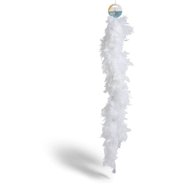 Boa plume noir ou blanc 200cm