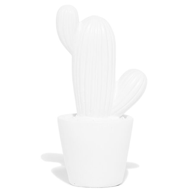 D&eacute;coration pot cactus