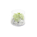 Plante artificielle grasse en pot rond 9,8xH8,2cm
