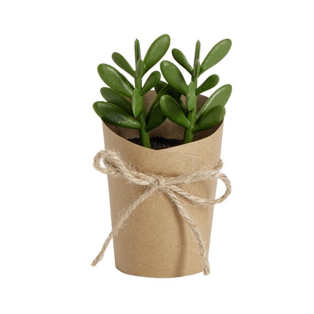 Plante artificielle en pot kraft succulente Ø5xH12cm - 3 modèles