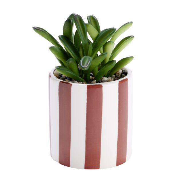 Plante artificielle succulente pot bayad&egrave;re rayures color&eacute;es &Oslash;8xH15,5cm (2 mod&egrave;les)