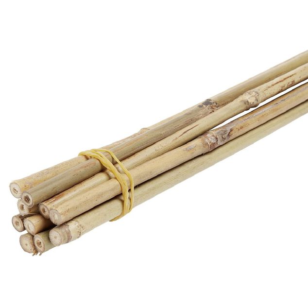 Tuteur en bambou naturel H50cm x10