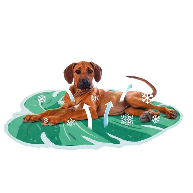 Tapis rafraichissant PVC vert pour chiens et chat 80x60cm