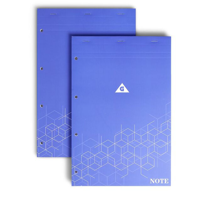 Lot de 2 bloc-notes perfor&eacute;s &agrave; petits carreaux A4 - 160 pages
