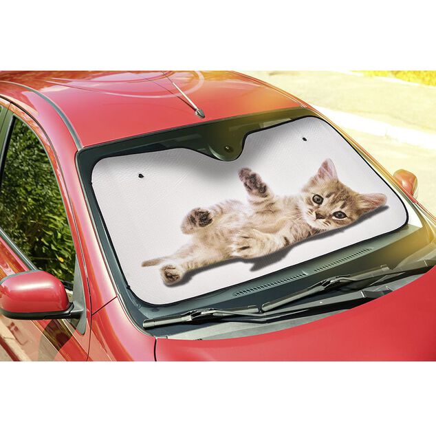 Pare soleil multicolore 140x70 cm