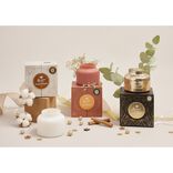 Bougie parfumée verre bracelet doré Ø9xH7cm (6 modèles)