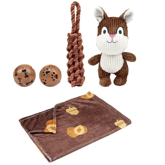 Jouet pour chien 5 pi&egrave;ces corde, balle, plaid, peluche &eacute;cureuil marron 22x30x10cm