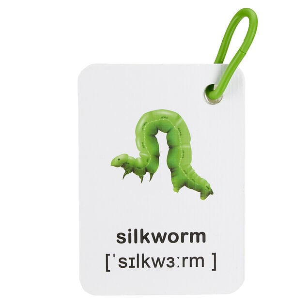 Jeu d&eacute;couverte des insectes avec 11 accessoires