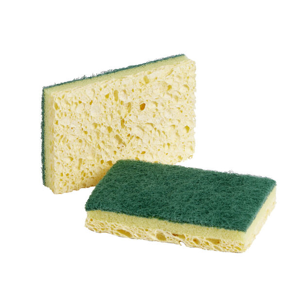 &Eacute;ponge grattoir v&eacute;g&eacute;tale verte Nicols x2