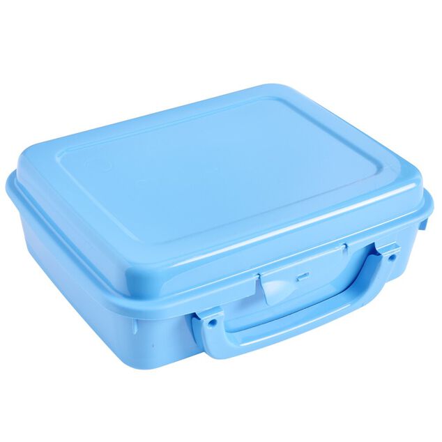 Bo&icirc;te &agrave; sandwich rectangulaire plastique color&eacute; 20x16xH7cm (3 mod&egrave;les)