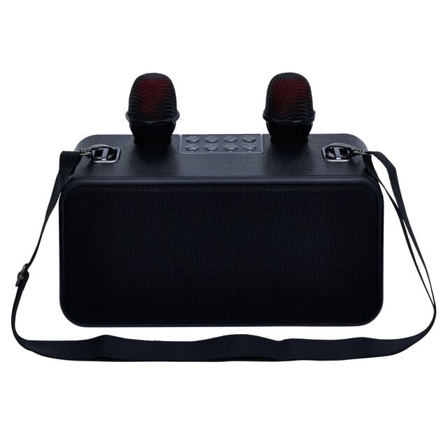 Enceinte karaoké 2 micros Homday Party
