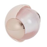 Boule adhésive nettoyante 2 modèles