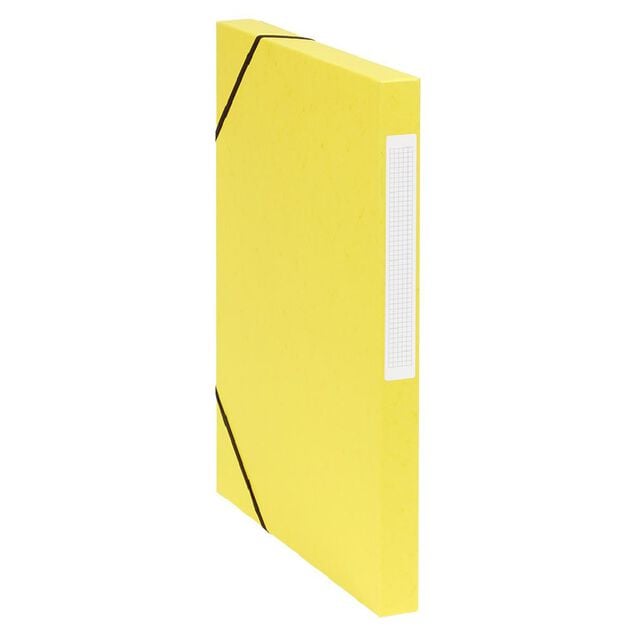Bo&icirc;te de classement cartonn&eacute;e &eacute;lastique x4
