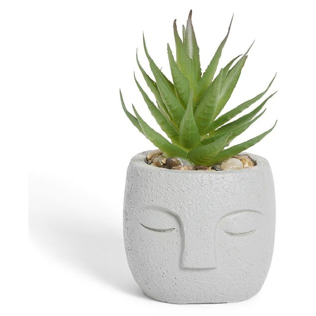 Plante artificielle pot ciment forme visage &Oslash;6,5xH9cm (plusieurs mod&egrave;les)