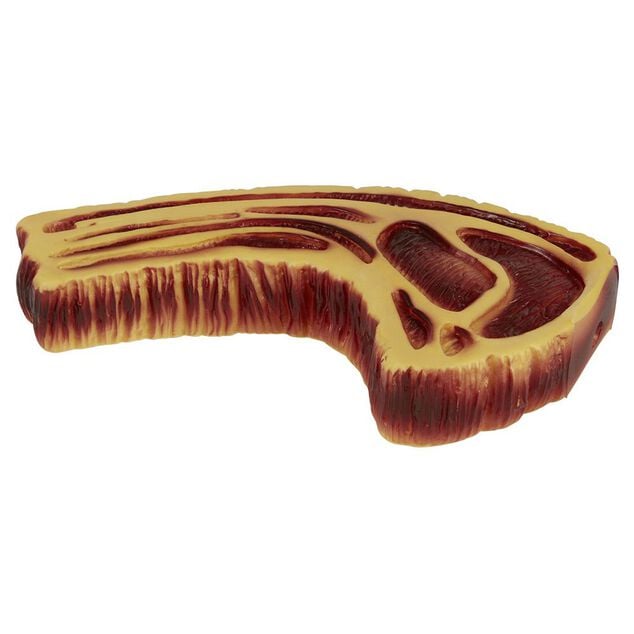 Jouet pour chien en caoutchouc entrec&ocirc;te