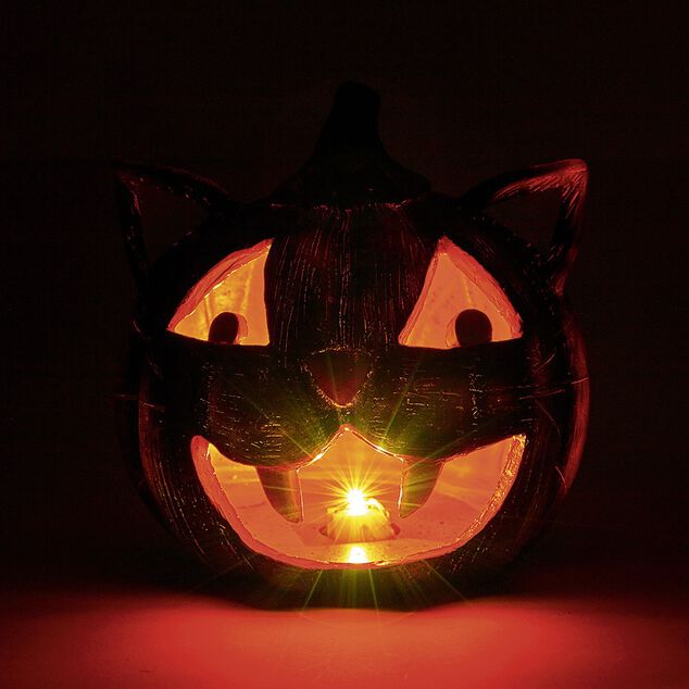 Citrouille t&ecirc;te de chat led couleur changeante d&eacute;coration Halloween