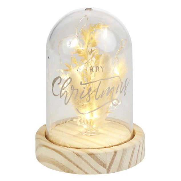 D&ocirc;me fleurs s&eacute;ch&eacute;es sous cloche Merry Christmas &agrave; LED &Oslash;9xH13cm