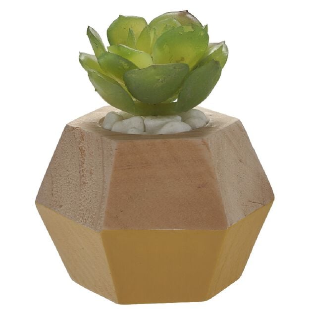 Origami D&eacute;co plante bois
