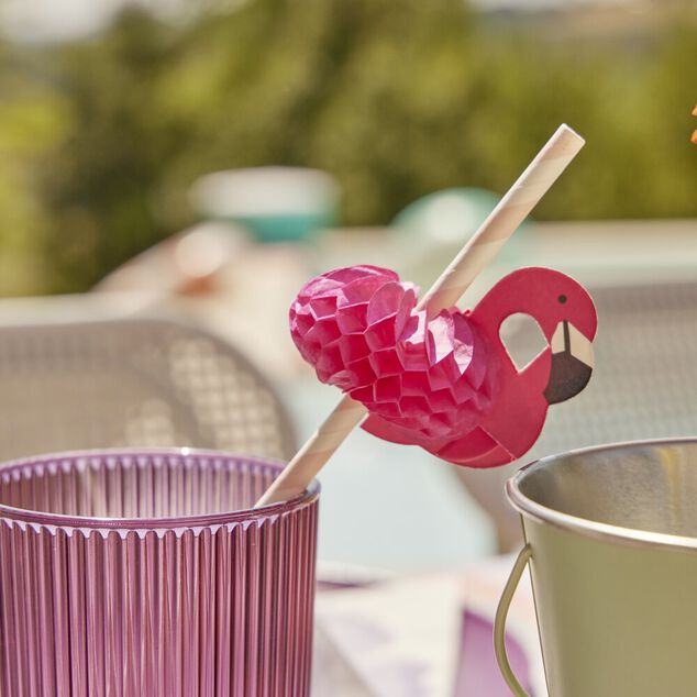 Lot de 12 pailles en papier design fruit