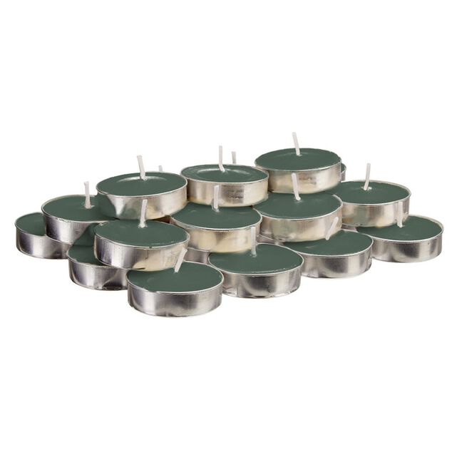 Bougie chauffe plat verte senteur eucalyptus x30