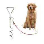 Piquet attache chien m&eacute;tal 4m