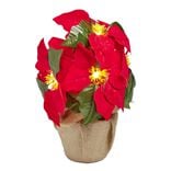 Poinsettia lumineux H23cm