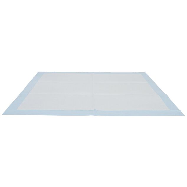 Lot de 30 tapis d'éducation jetables 60x60 cm