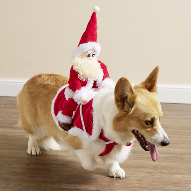 D&eacute;guisement chien P&egrave;re No&euml;l &agrave; califourchon rouge et blanc - Taille S